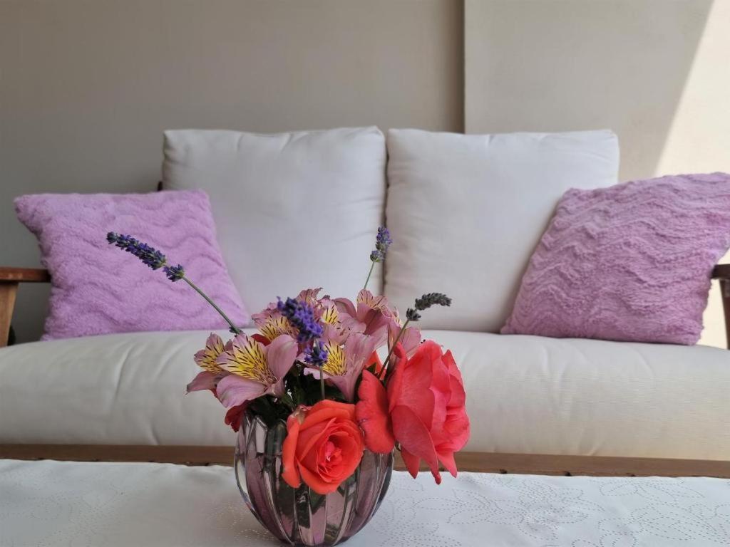 Apartments Ragusa Rovinj Kültér fotó